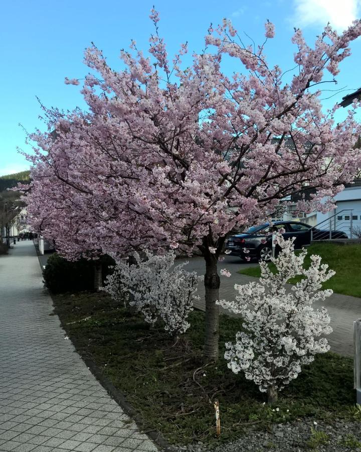 Fewo Altstadt Bl Bad Laasphe Esterno foto